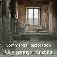 Commercial Restoration Clay Springs - Arizona