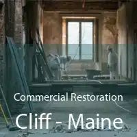 Commercial Restoration Cliff - Maine
