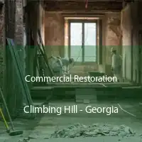 Commercial Restoration Climbing Hill - Georgia