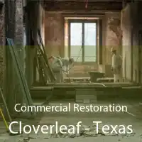 Commercial Restoration Cloverleaf - Texas