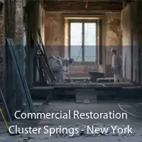Commercial Restoration Cluster Springs - New York