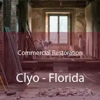 Commercial Restoration Clyo - Florida