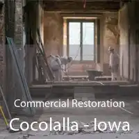 Commercial Restoration Cocolalla - Iowa