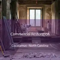 Commercial Restoration Cocolamus - North Carolina