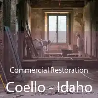 Commercial Restoration Coello - Idaho