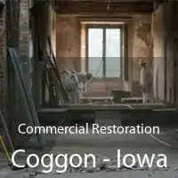 Commercial Restoration Coggon - Iowa