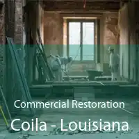 Commercial Restoration Coila - Louisiana