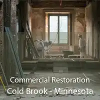 Commercial Restoration Cold Brook - Minnesota