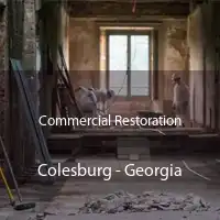 Commercial Restoration Colesburg - Georgia