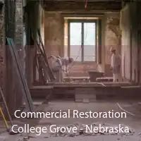 Commercial Restoration College Grove - Nebraska
