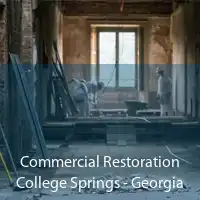 Commercial Restoration College Springs - Georgia
