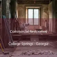 Commercial Restoration College Springs - Georgia