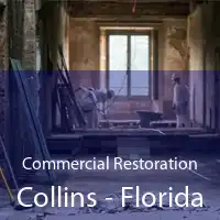 Commercial Restoration Collins - Florida