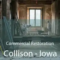 Commercial Restoration Collison - Iowa