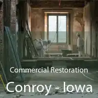 Commercial Restoration Conroy - Iowa