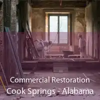Commercial Restoration Cook Springs - Alabama