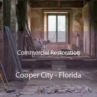 Commercial Restoration Cooper City - Florida