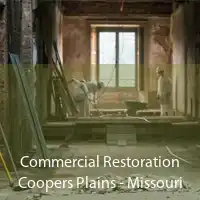 Commercial Restoration Coopers Plains - Missouri
