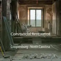 Commercial Restoration Coopersburg - North Carolina