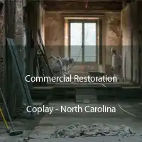 Commercial Restoration Coplay - North Carolina