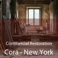 Commercial Restoration Cora - New York