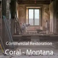 Commercial Restoration Coral - Montana