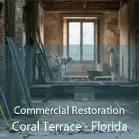 Commercial Restoration Coral Terrace - Florida