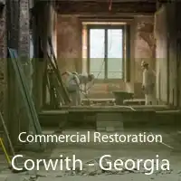 Commercial Restoration Corwith - Georgia