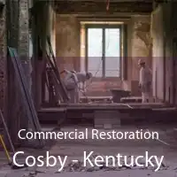 Commercial Restoration Cosby - Kentucky
