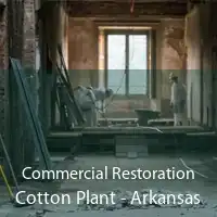 Commercial Restoration Cotton Plant - Arkansas