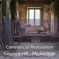 Commercial Restoration Council Hill - Mississippi