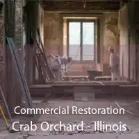 Commercial Restoration Crab Orchard - Illinois