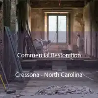 Commercial Restoration Cressona - North Carolina