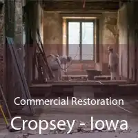 Commercial Restoration Cropsey - Iowa
