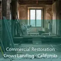 Commercial Restoration Crows Landing - California