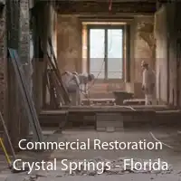 Commercial Restoration Crystal Springs - Florida
