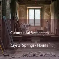 Commercial Restoration Crystal Springs - Florida