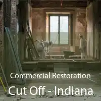 Commercial Restoration Cut Off - Indiana