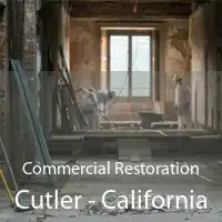 Commercial Restoration Cutler - California