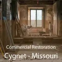 Commercial Restoration Cygnet - Missouri