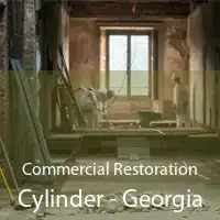 Commercial Restoration Cylinder - Georgia