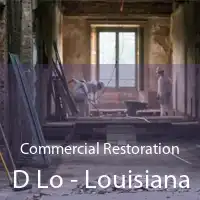 Commercial Restoration D Lo - Louisiana