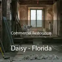 Commercial Restoration Daisy - Florida