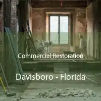 Commercial Restoration Davisboro - Florida