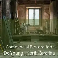 Commercial Restoration De Young - North Carolina