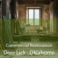 Commercial Restoration Deer Lick - Oklahoma
