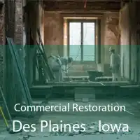 Commercial Restoration Des Plaines - Iowa