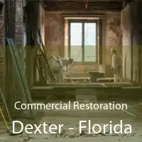 Commercial Restoration Dexter - Florida
