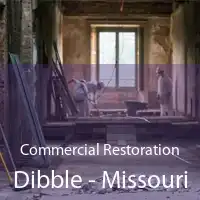 Commercial Restoration Dibble - Missouri