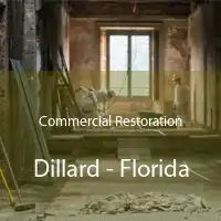 Commercial Restoration Dillard - Florida